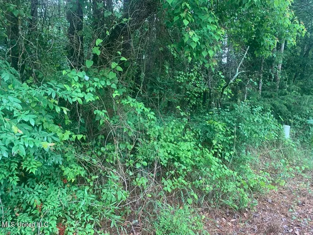 $22,000 | 1063 Dry Creek Road, Magee, MS 39111