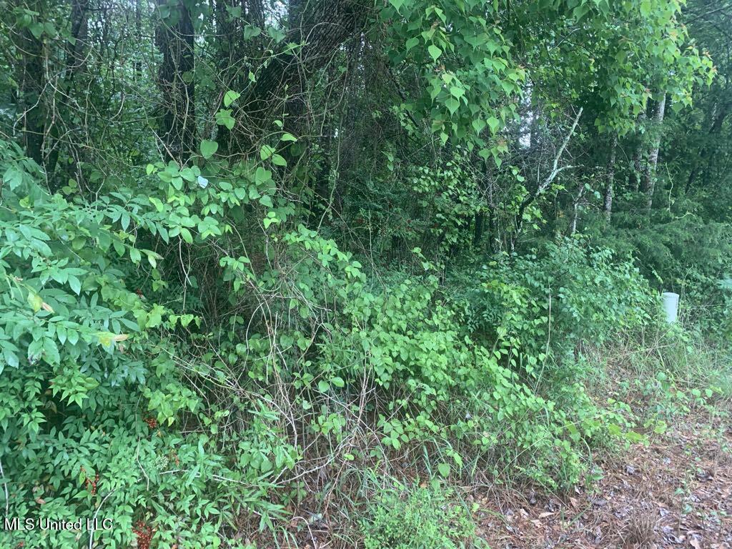 1063 Dry Creek Road Magee, MS 39111 - Photo 7 of 15 7635894a-c973-4c37-9064-1a06c250fcbb