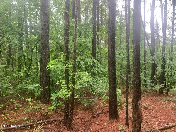 $22,000 | 1063 Dry Creek Road, Magee, MS 39111