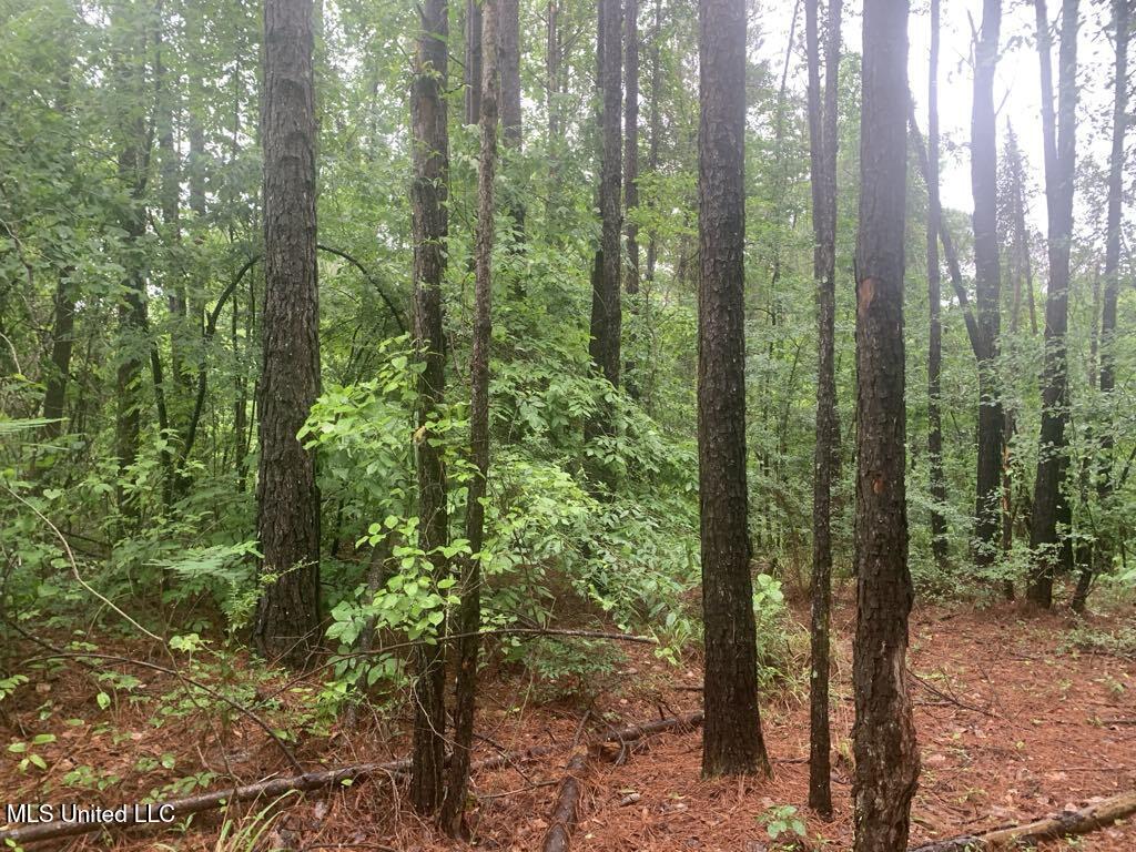 1063 Dry Creek Road Magee, MS 39111 - Photo 8 of 15 b8fcba3e-c96b-4eef-b5e3-ff9aeebd4e67