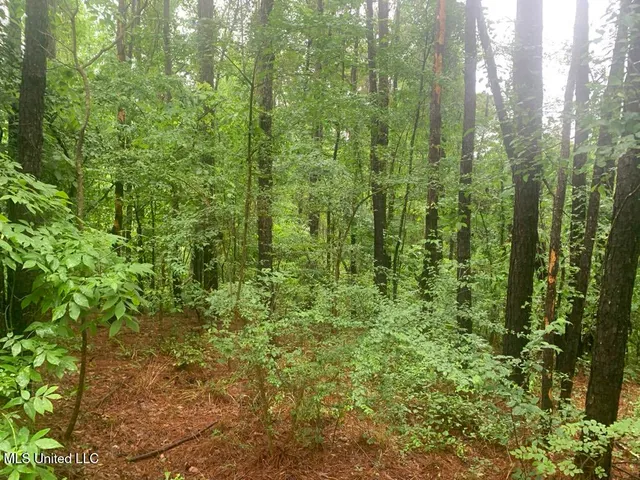 $22,000 | 1063 Dry Creek Road, Magee, MS 39111