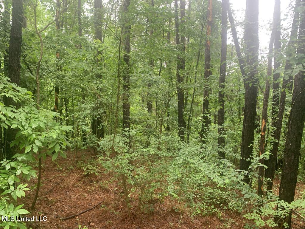 1063 Dry Creek Road Magee, MS 39111 - Photo 9 of 15 b5548465-d4f3-47f7-b3fc-da2d261d029d