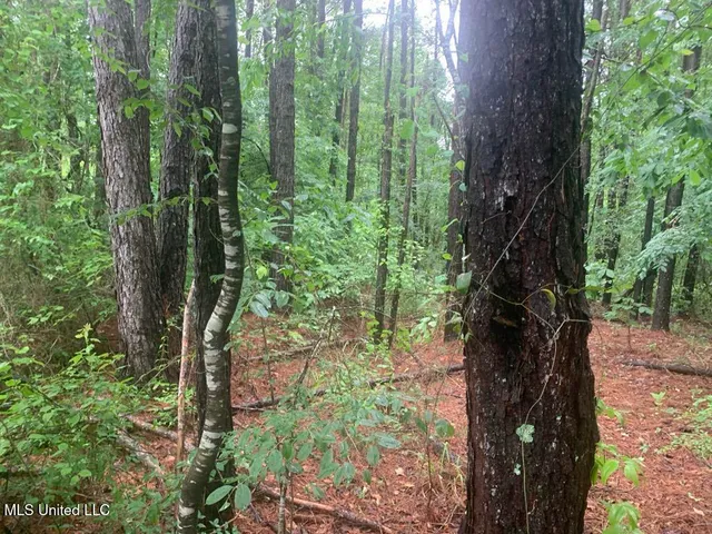 $22,000 | 1063 Dry Creek Road, Magee, MS 39111