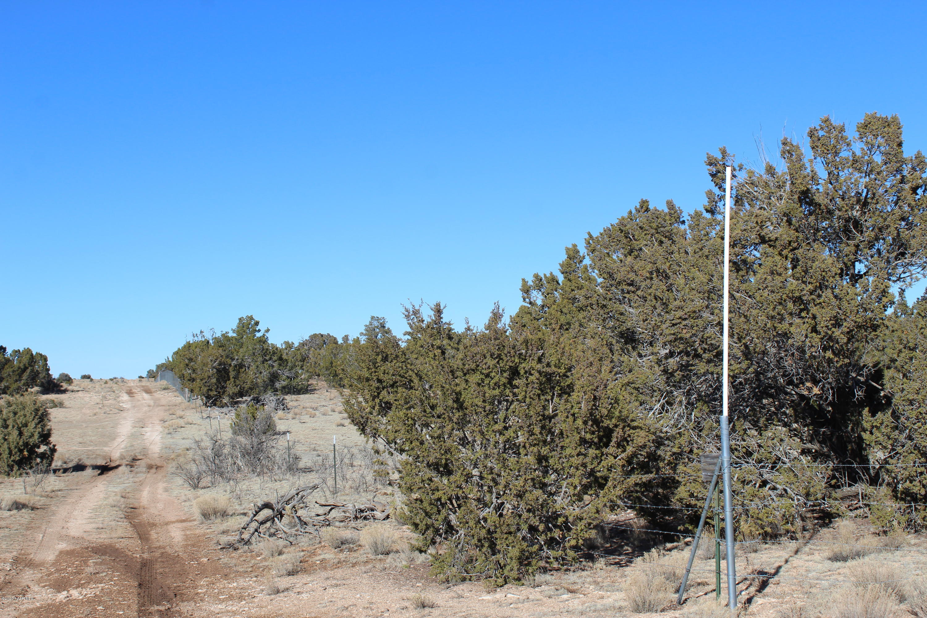 Lot 210 Antelope Valley Ranch Seligman, AZ 86337 - Photo 11 of 13 IMG_4295