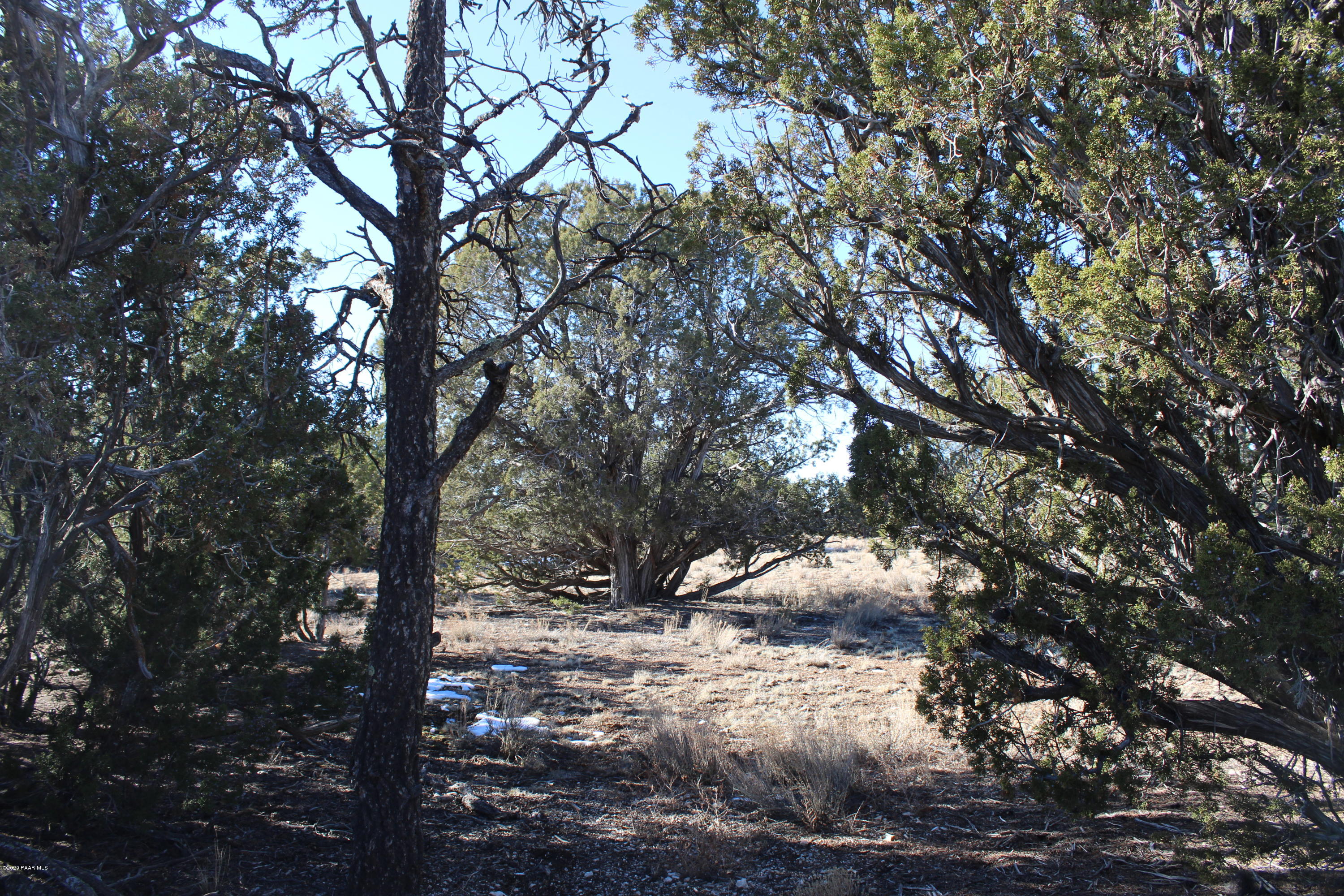 Lot 210 Antelope Valley Ranch Seligman, AZ 86337 - Photo 2 of 13 IMG_4277