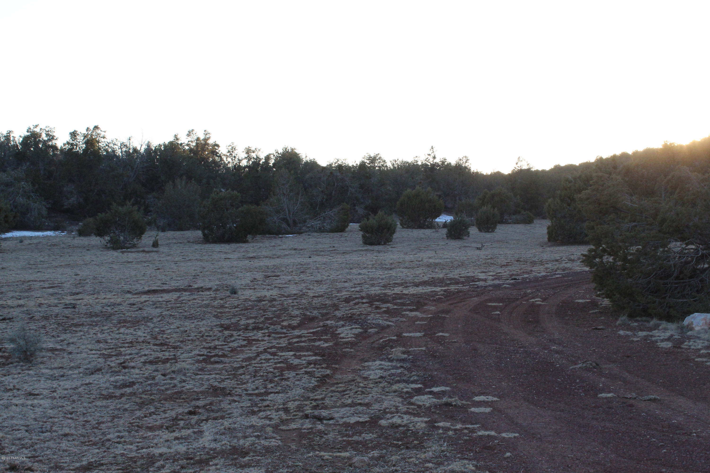 Lot 210 Antelope Valley Ranch Seligman, AZ 86337 - Photo 4 of 13 IMG_4327
