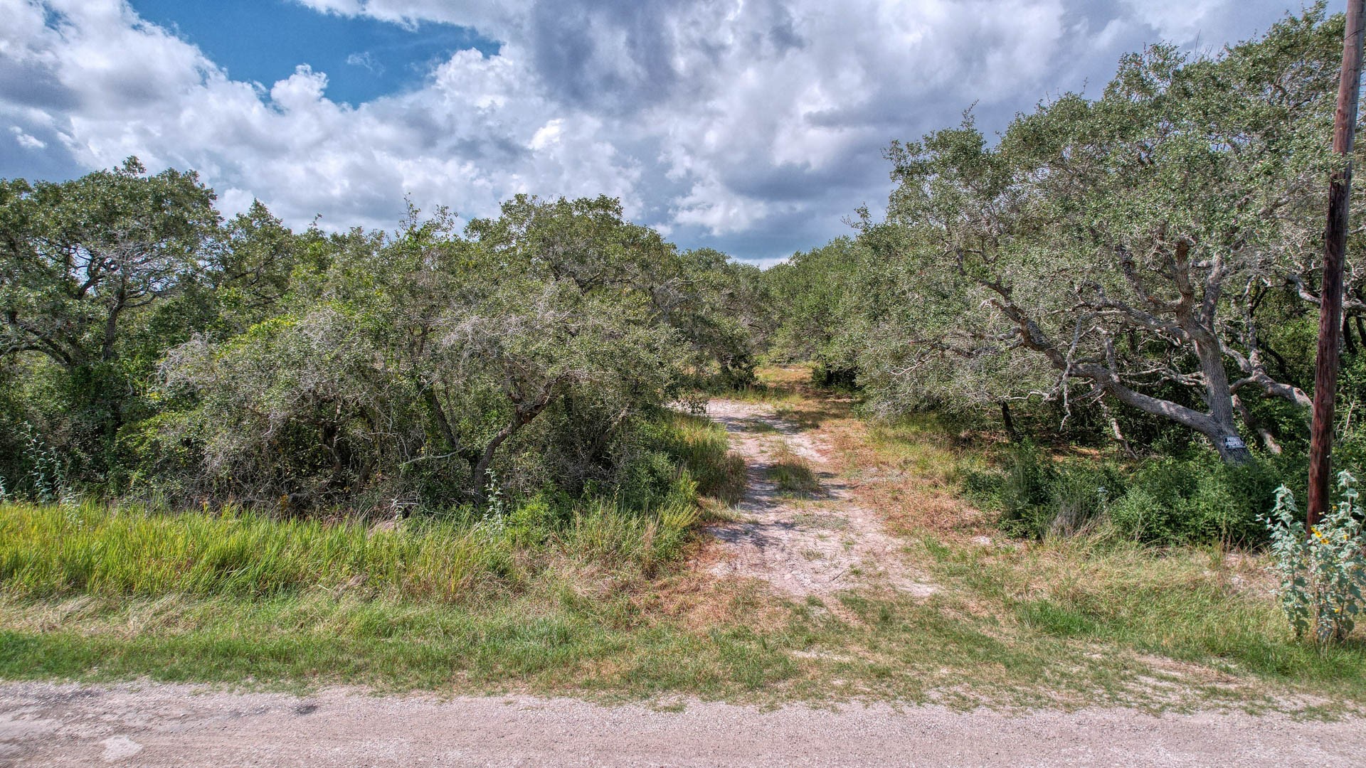 0 West Rhodes Avenue Aransas Pass, TX 78336 - Photo 12 of 25 a view of a yard