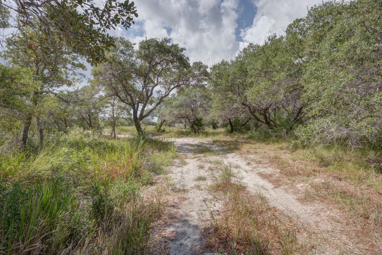 0 West Rhodes Avenue Aransas Pass, TX 78336 - Photo 17 of 25 a view of outdoor space and trees