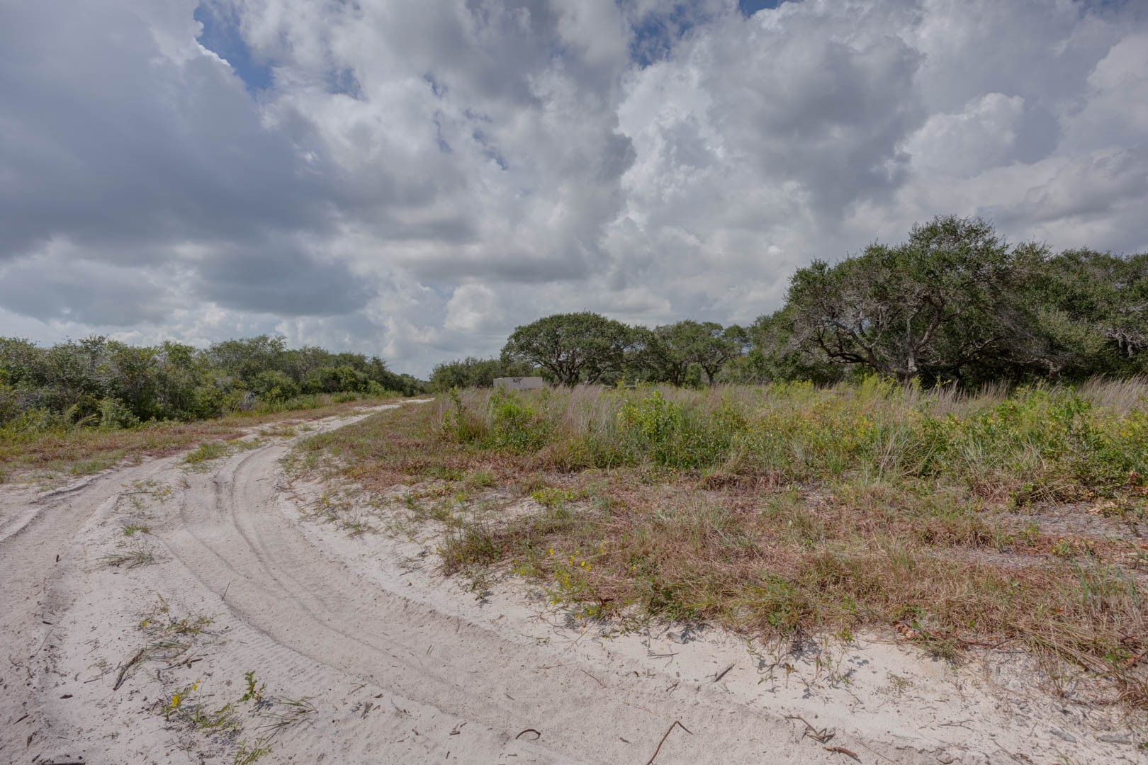 0 West Rhodes Avenue Aransas Pass, TX 78336 - Photo 18 of 25 a view of a dirt field with trees in the background