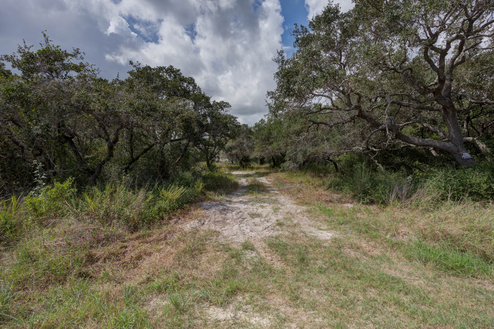 0 West Rhodes Avenue Aransas Pass, TX 78336 - Photo 4 of 25 a view of outdoor space and green space