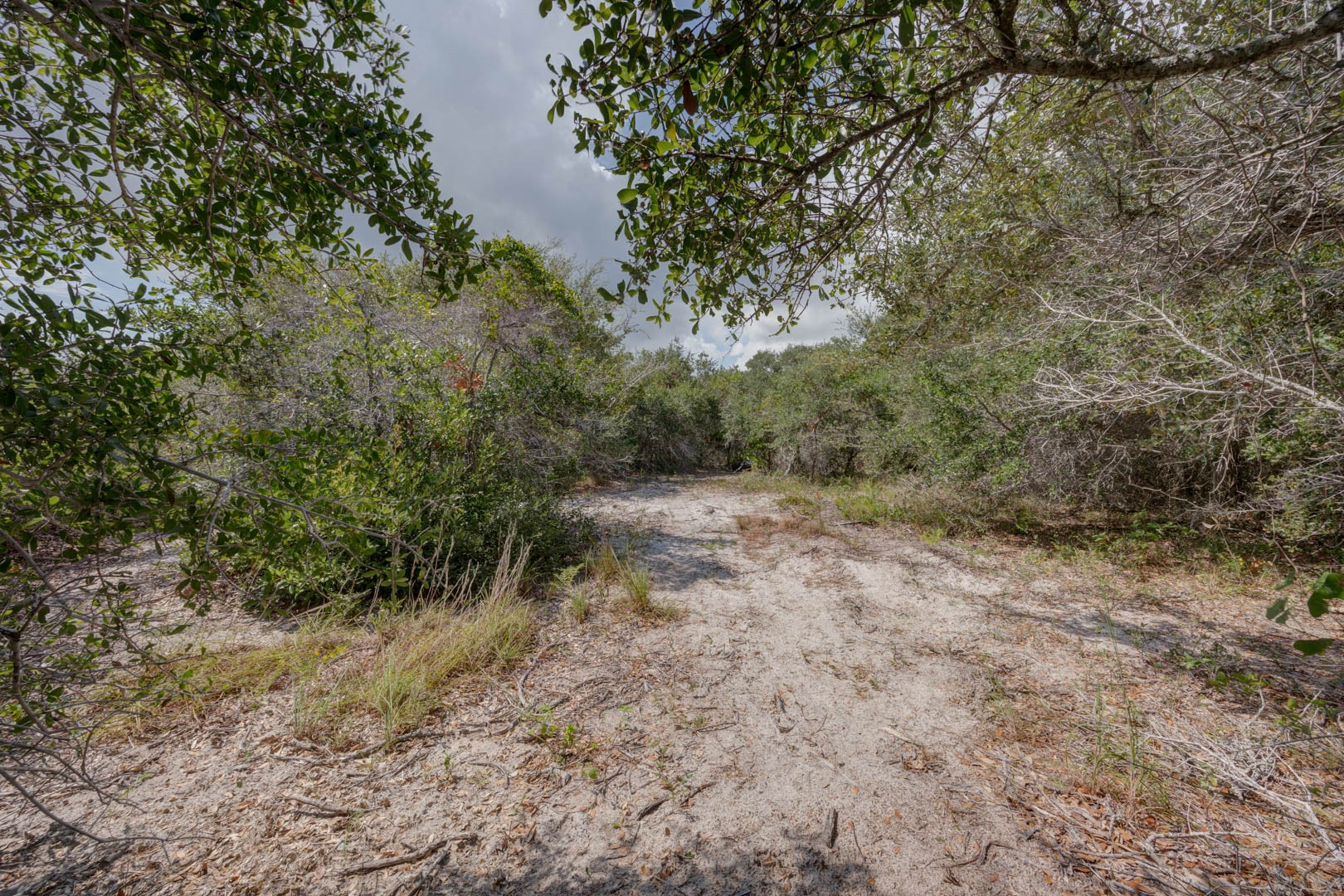0 West Rhodes Avenue Aransas Pass, TX 78336 - Photo 7 of 25 a view of a forest with trees in the background