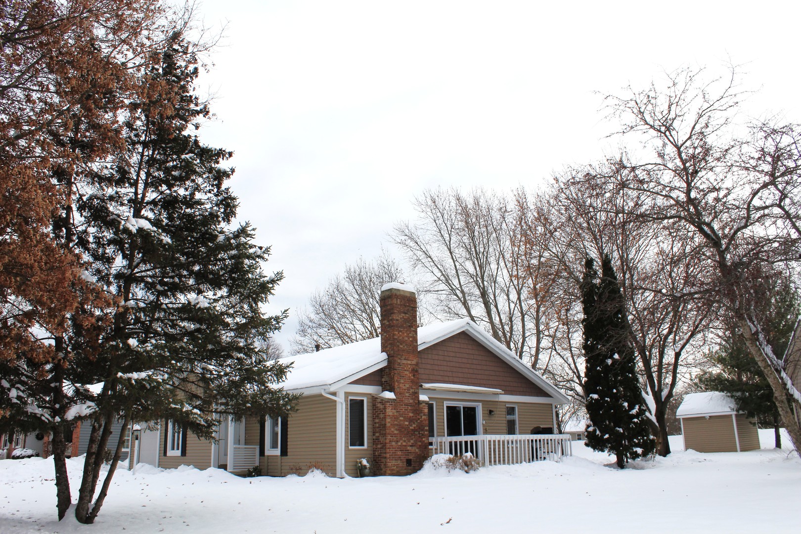 908 Glenmore Lane Elgin, IL 60124 - Photo 2 of 50 a front view of a house with yard and trees