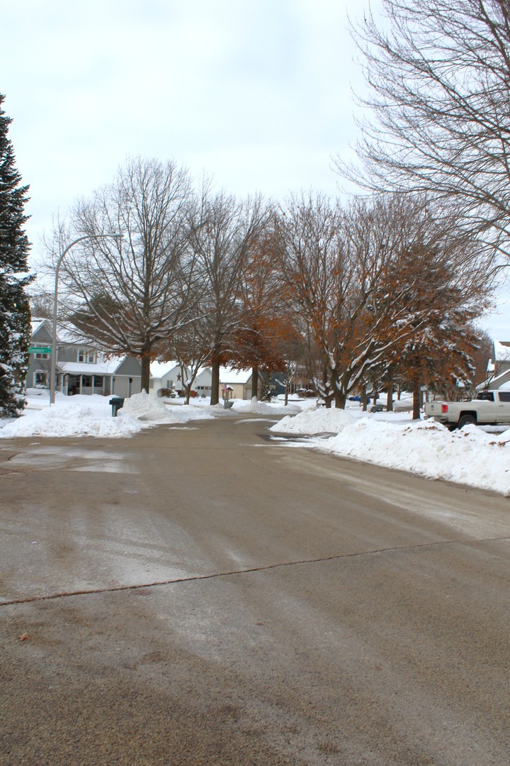 908 Glenmore Lane Elgin, IL 60124 - Photo 48 of 50 a view of road with large trees