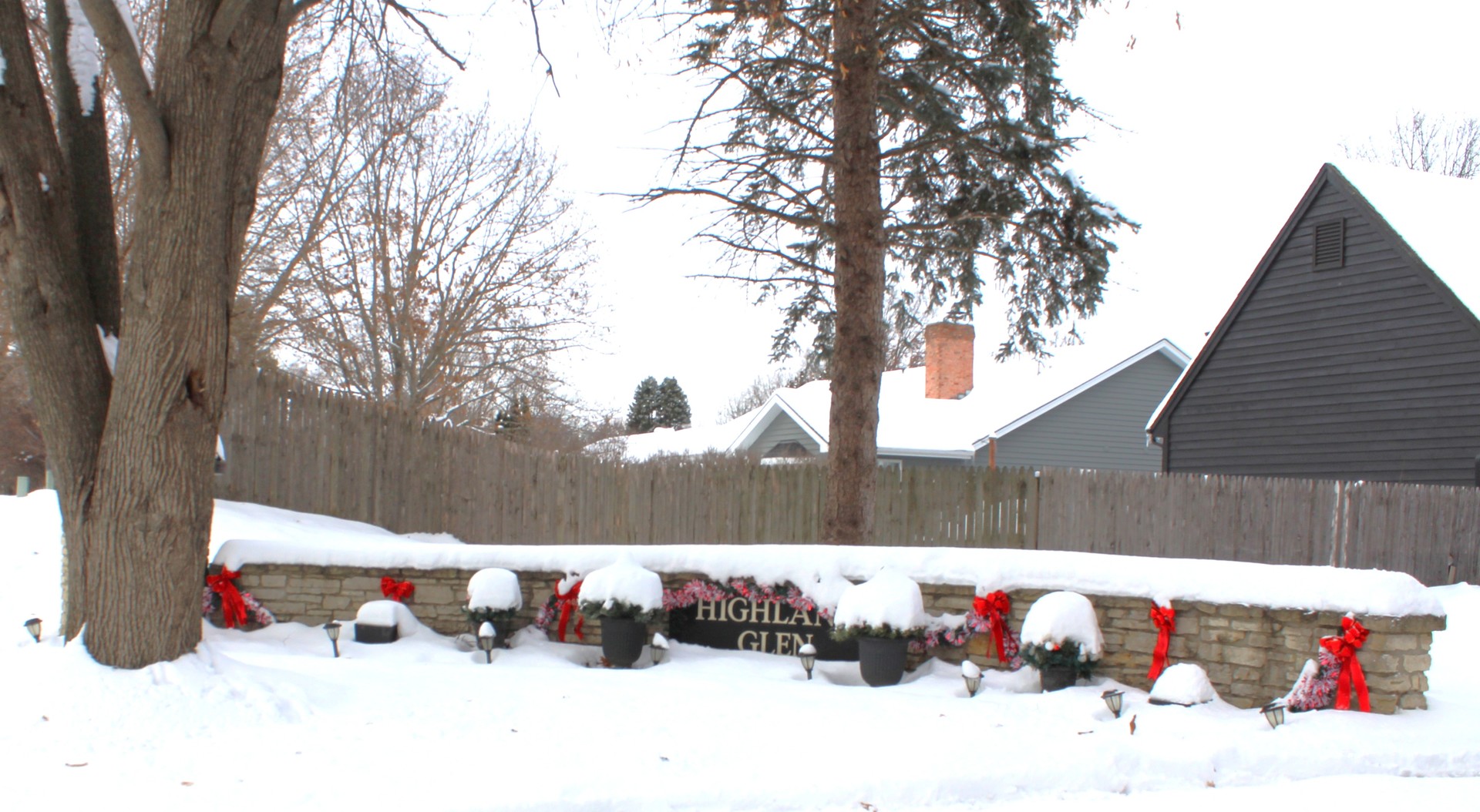 908 Glenmore Lane Elgin, IL 60124 - Photo 50 of 50 a view of outdoor space yard covered with trees