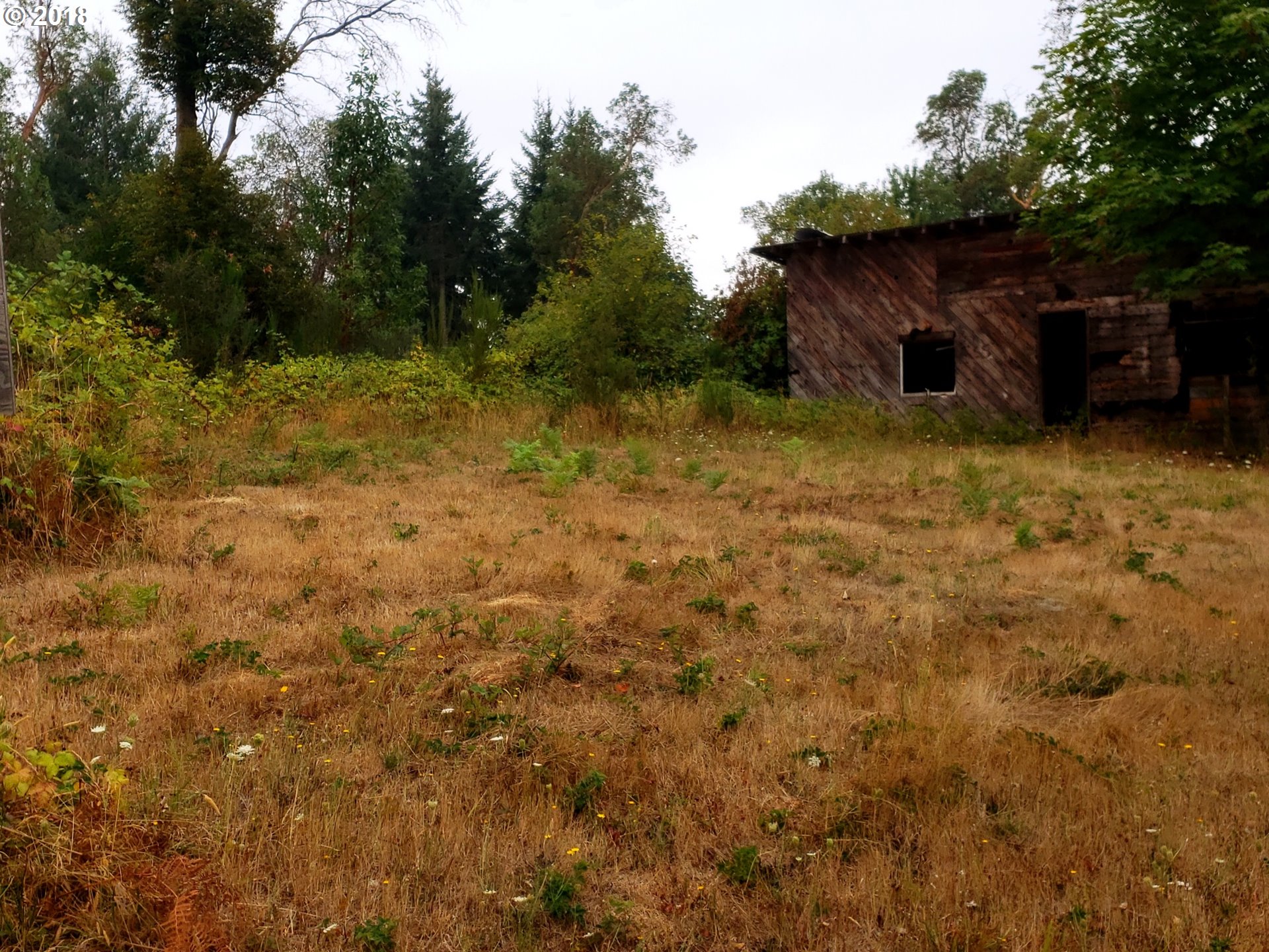1 Demming Road Elmira, OR 97437 - Photo 14 of 17 Gallery Image 14