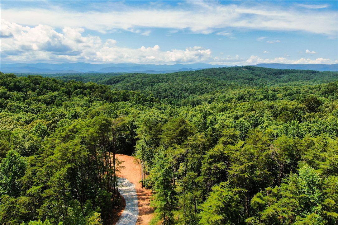 350 Pine Grove Church Road Sunset, SC 29685 - Photo 3 of 47