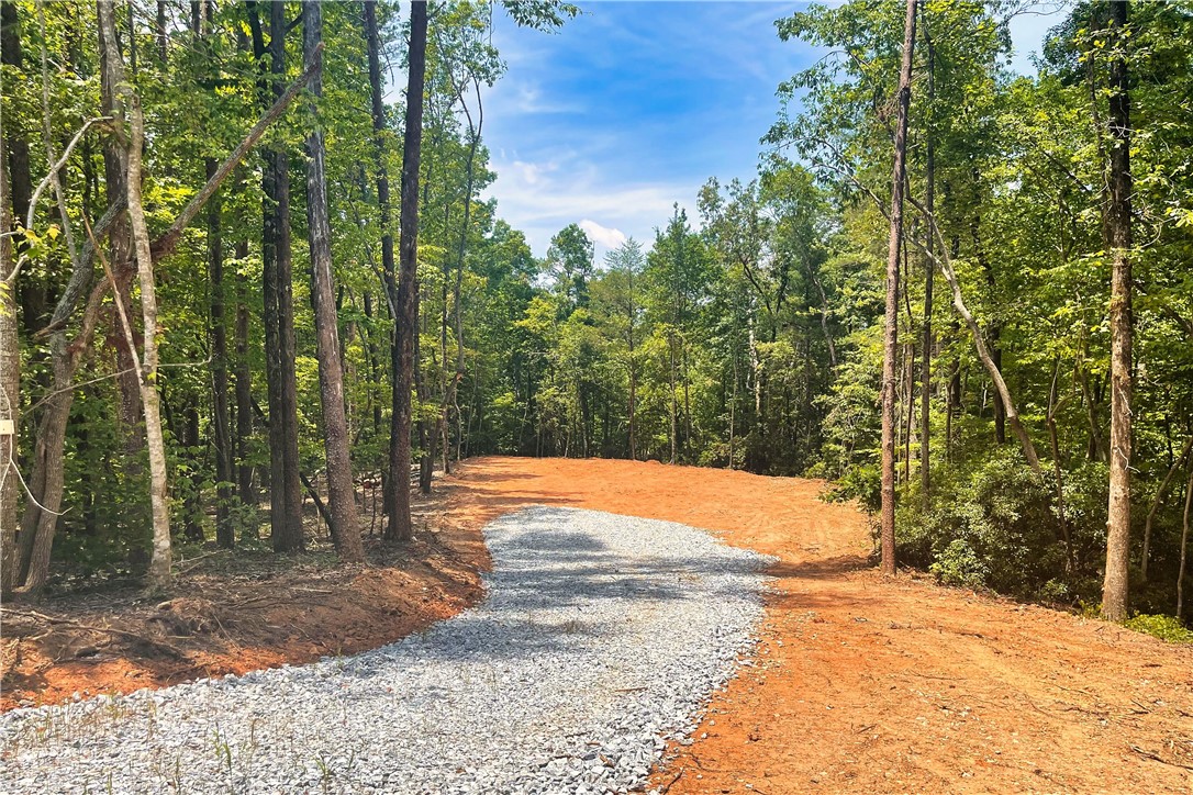 350 Pine Grove Church Road Sunset, SC 29685 - Photo 4 of 47
