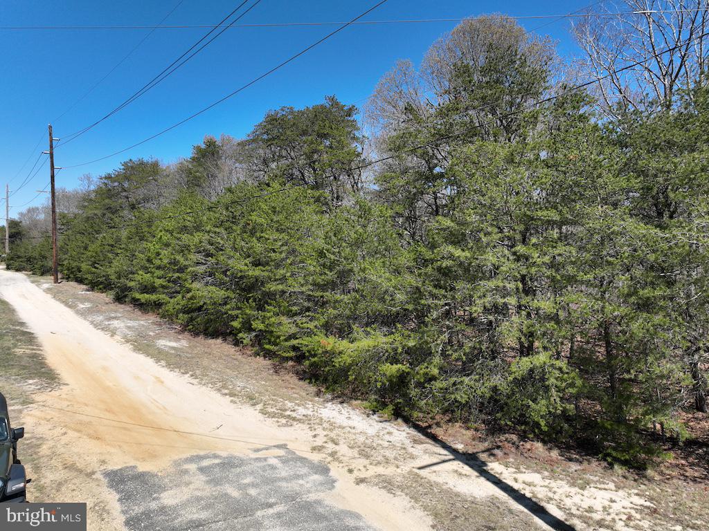 351 Shaws Mill Road Cedarville, NJ 08311 - Photo 69 of 84