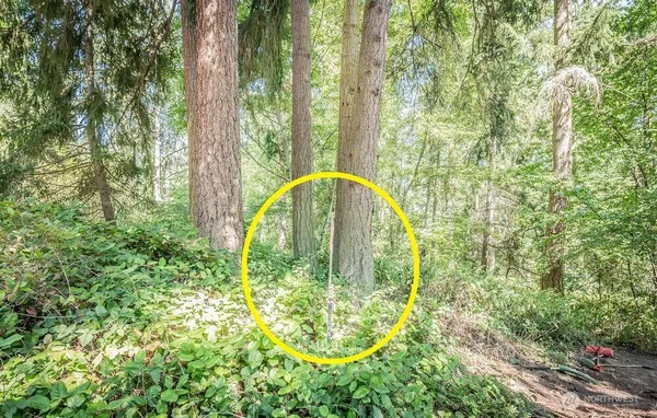 $989,000 | 28 Buckhorn Place, Port Townsend, WA 98368