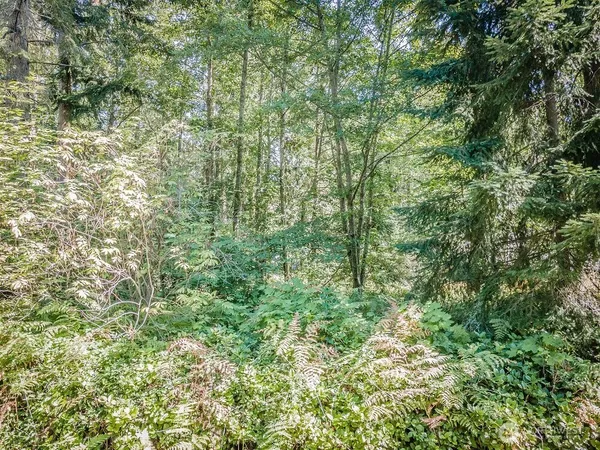 $989,000 | 28 Buckhorn Place, Port Townsend, WA 98368