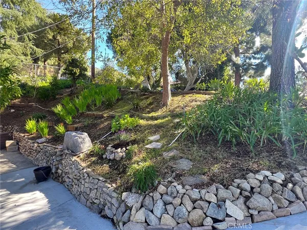 a garden with lots of trees