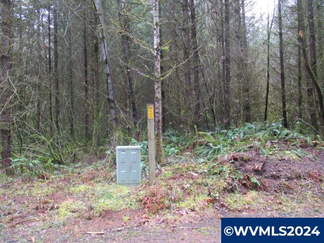 0 Zurfluh Road Scio, OR 97374 - Photo 5 of 14