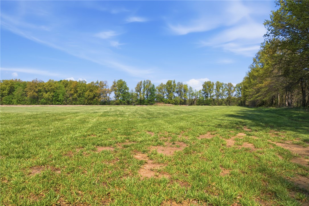 1602 Westboro Road Blanchester, OH 45107 - Photo 75 of 81 Expansive green fields meet a tranquil tree line under a clear, bright sky.
