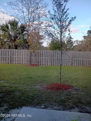 a view of a park with large trees