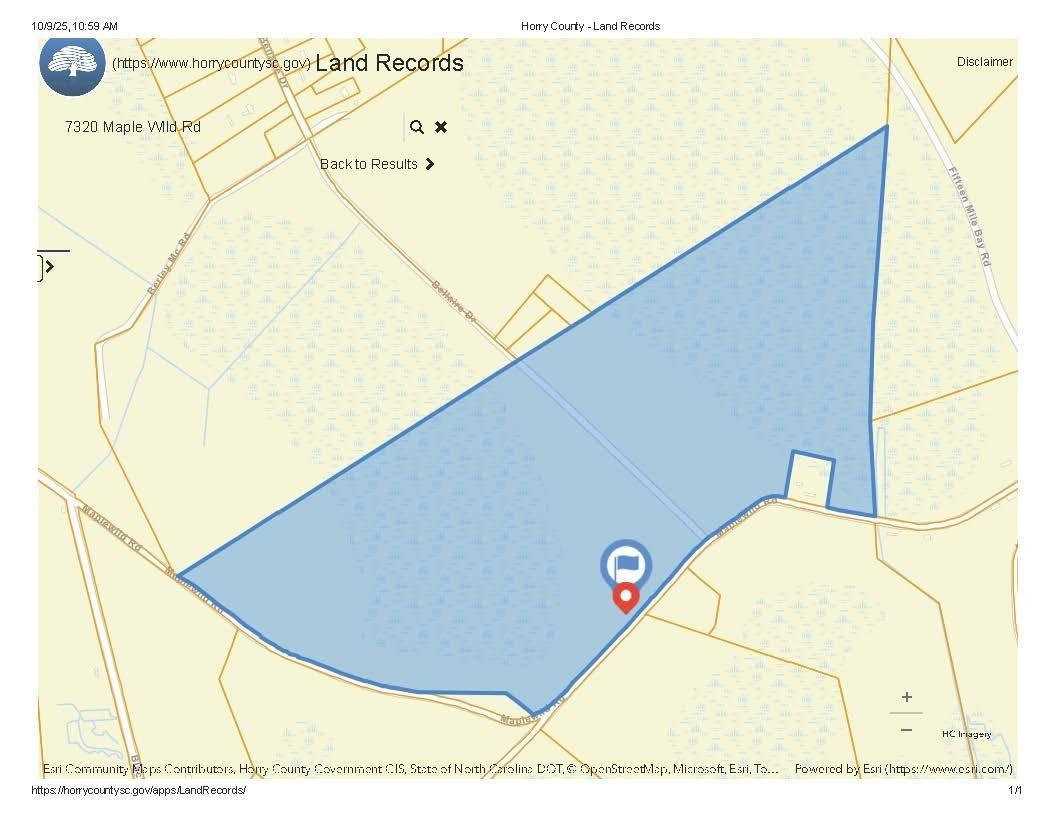 7320 Maple Wild Road Nichols, SC 29581 - Photo 2 of 2