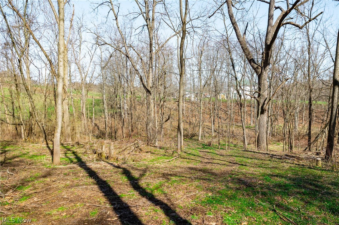 135 Township Road Adena, OH 43901 - Photo 17 of 47