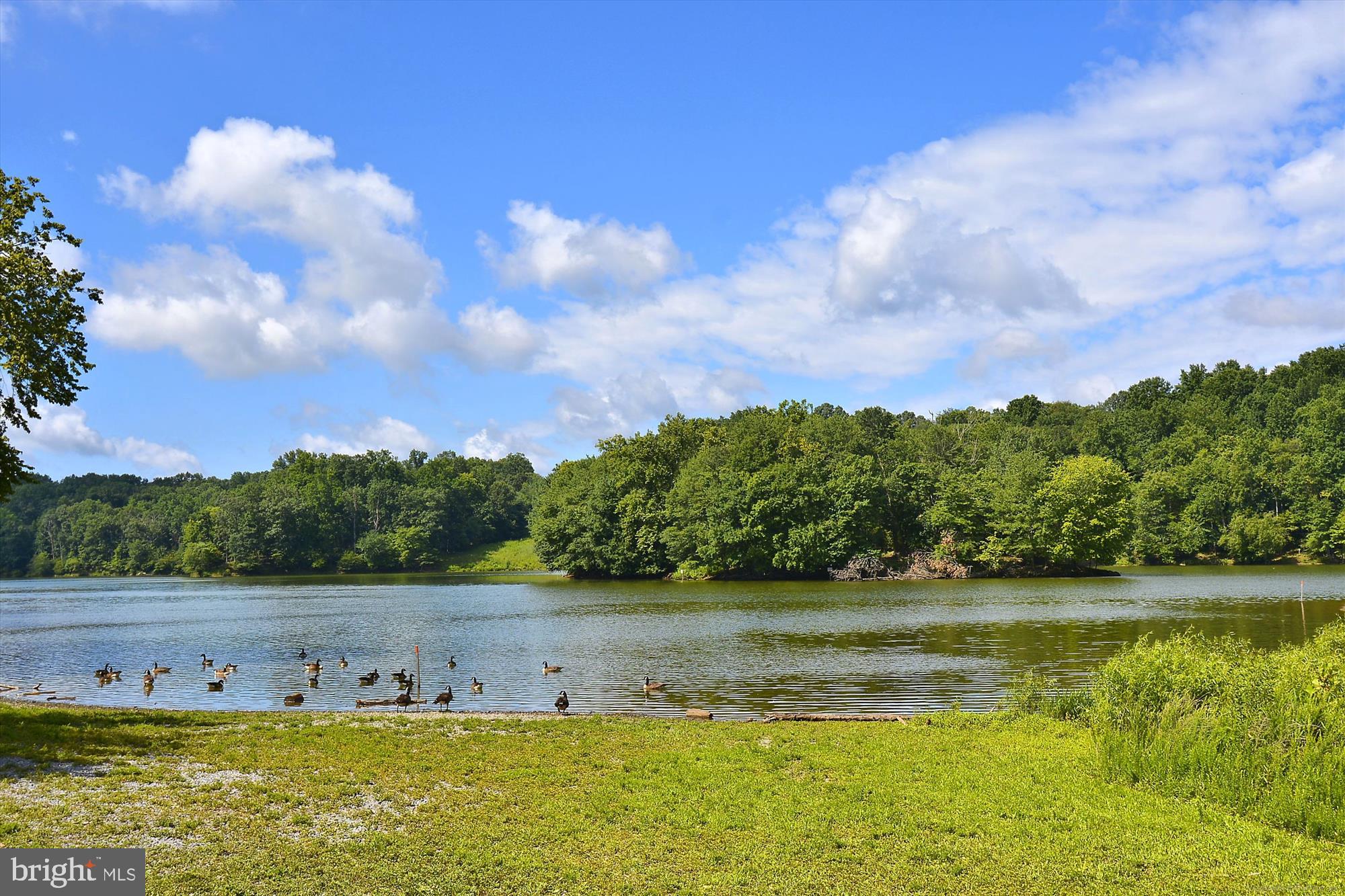 17721 Lisa Drive Derwood, MD 20855 - Photo 81 of 87 a view of a lake with houses in the back