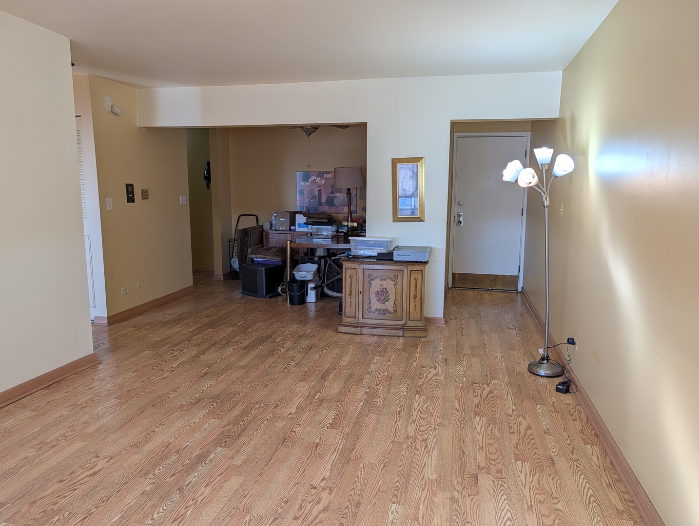 8444 West Wilson Avenue, Unit 407 Chicago, IL 60656 - Photo 11 of 20 a view of livingroom with furniture and wooden floor