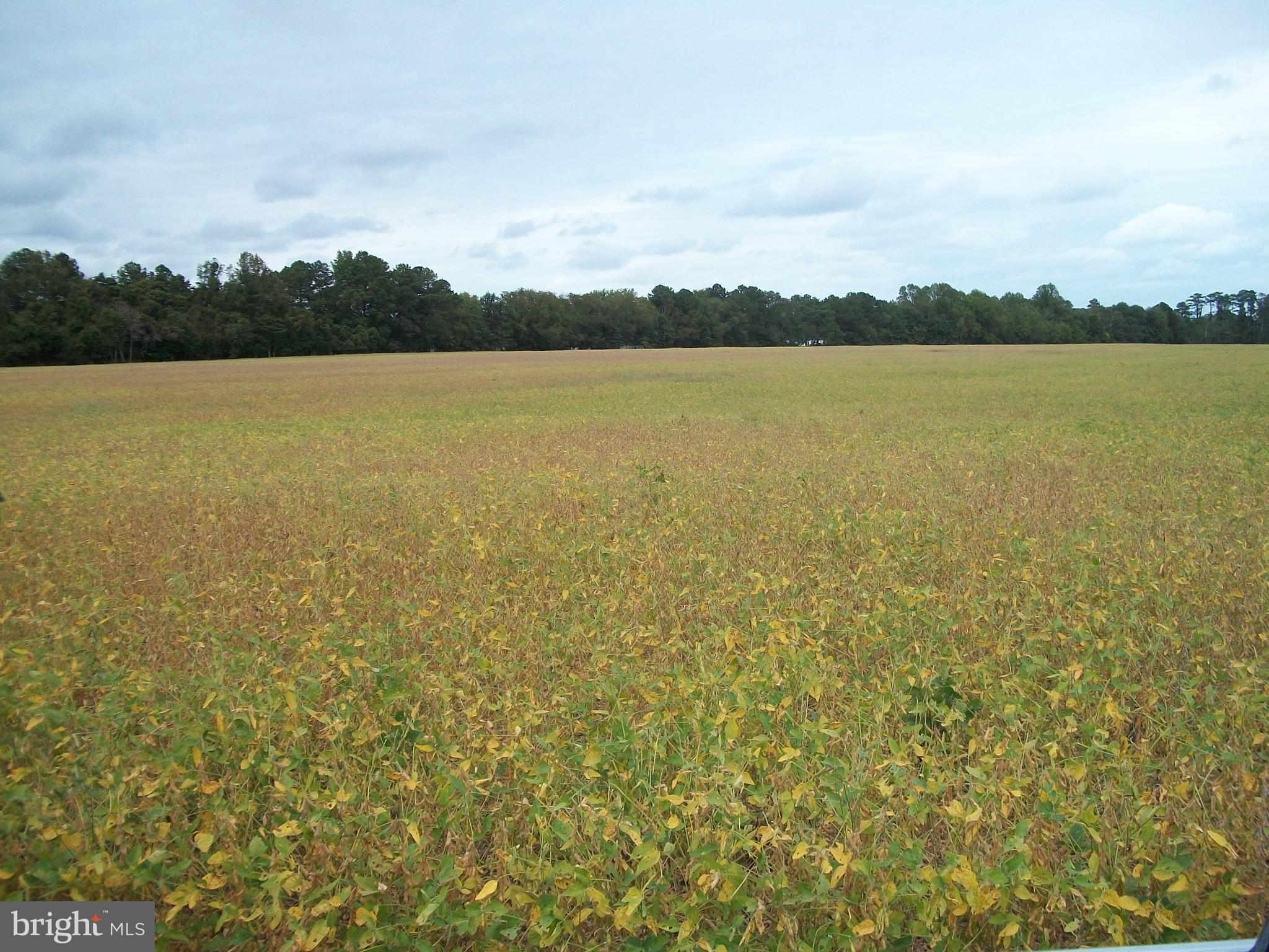 Lot 6 Prettyman Road Georgetown, DE 19947 - Photo 1 of 1 Gallery Image 1