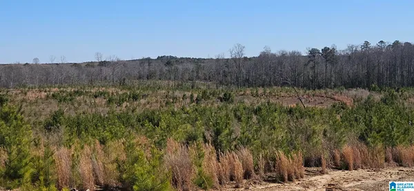$100,000 | 0 Highway 139 Randolph Al, Unit 20, Randolph, AL 36792