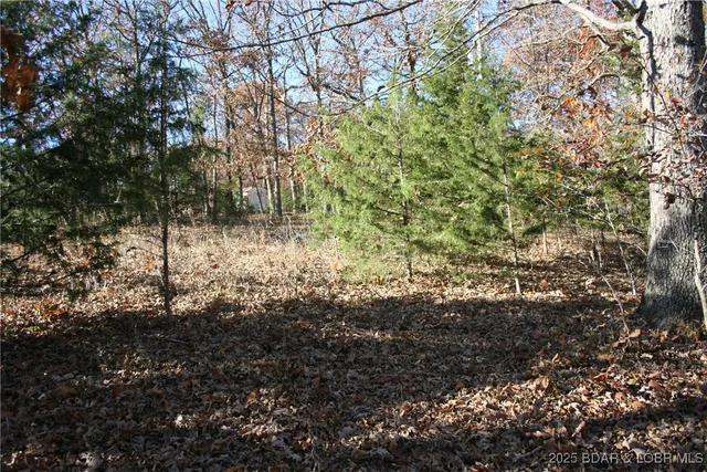 $5,700 | Tbd Lodge Drive, Edwards, MO 65326