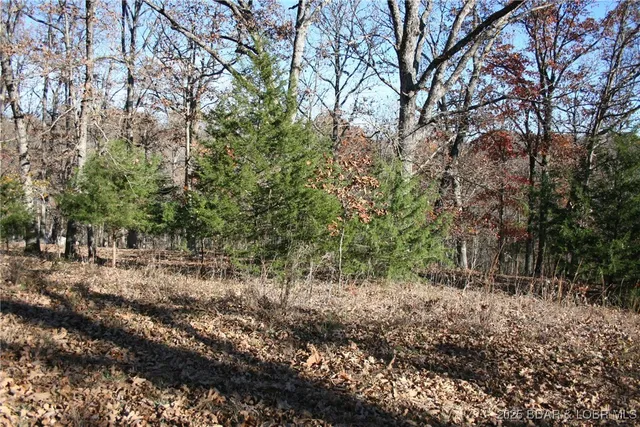 $5,700 | Tbd Lodge Drive, Edwards, MO 65326