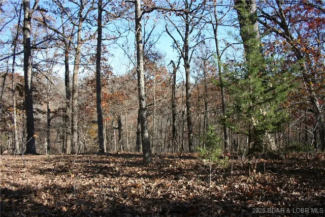 $5,700 | Tbd Lodge Drive, Edwards, MO 65326