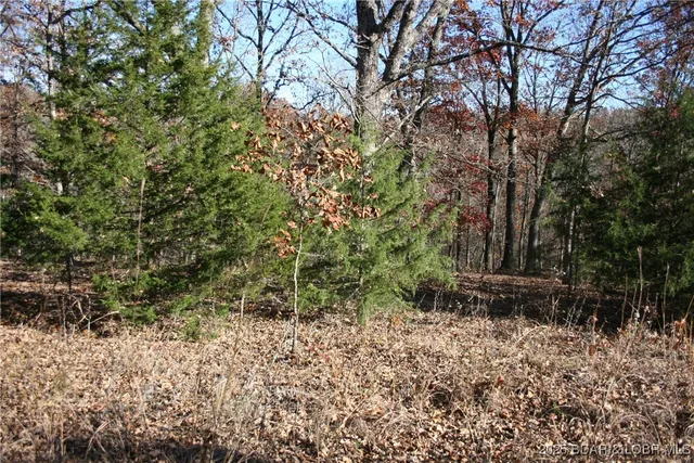 $5,700 | Tbd Lodge Drive, Edwards, MO 65326