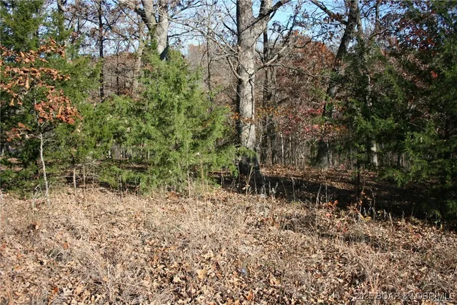 $5,700 | Tbd Lodge Drive, Edwards, MO 65326