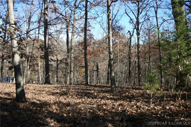 $5,700 | Tbd Lodge Drive, Edwards, MO 65326