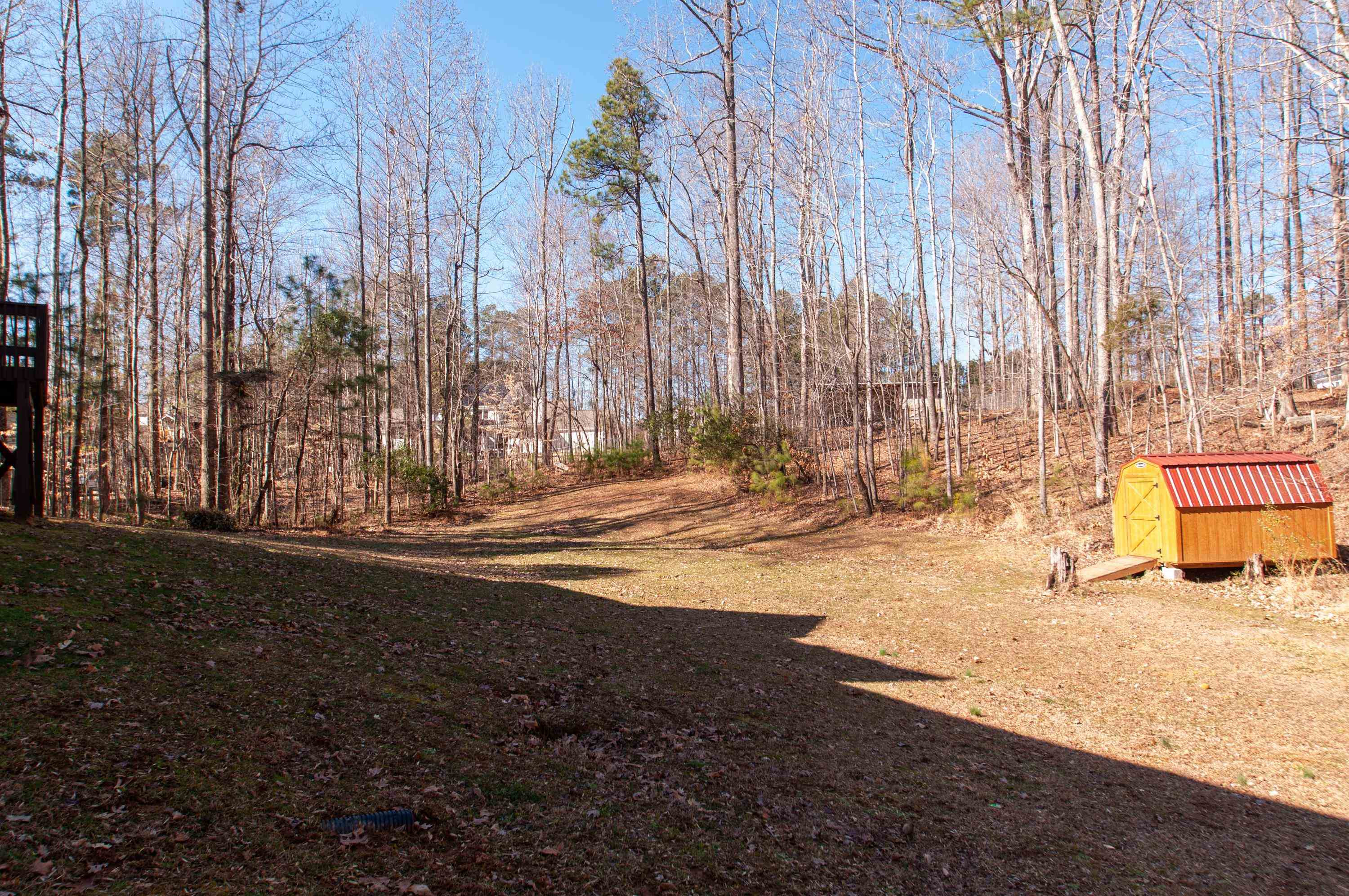11465 Claybank Place Raleigh, NC 27613 - Photo 25 of 26 Backyard