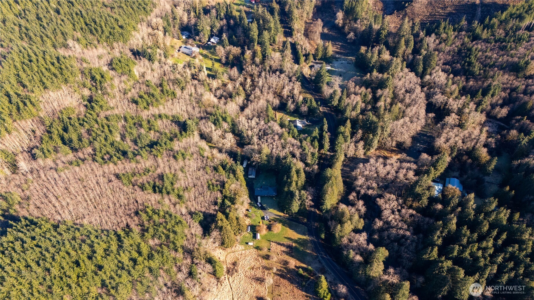 371 Pigeon Springs Road Onalaska, WA 98570 - Photo 38 of 39
