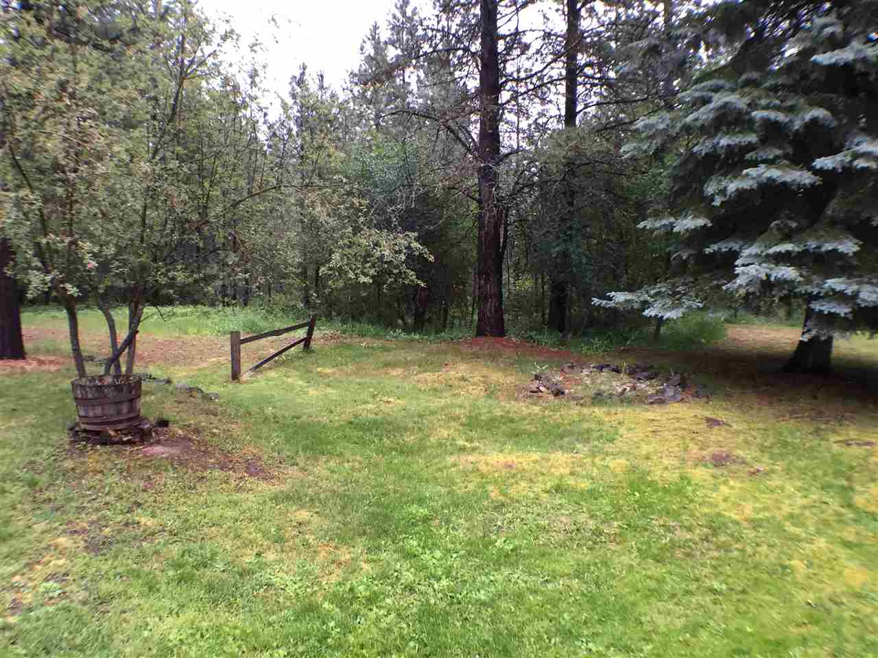 22830 North Crescent Road Colbert, WA 99005 - Photo 19 of 20