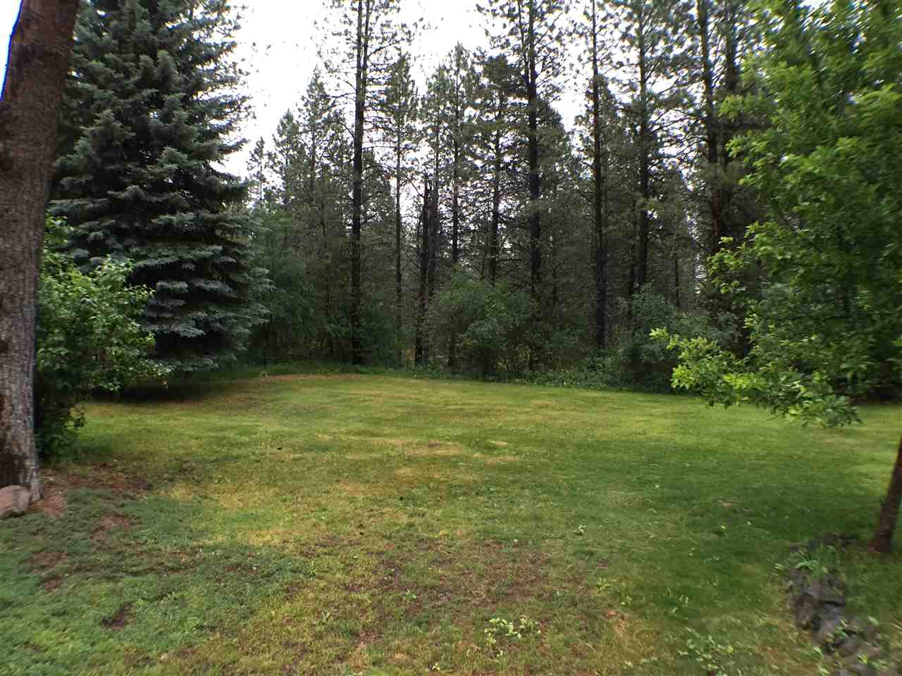 22830 North Crescent Road Colbert, WA 99005 - Photo 20 of 20