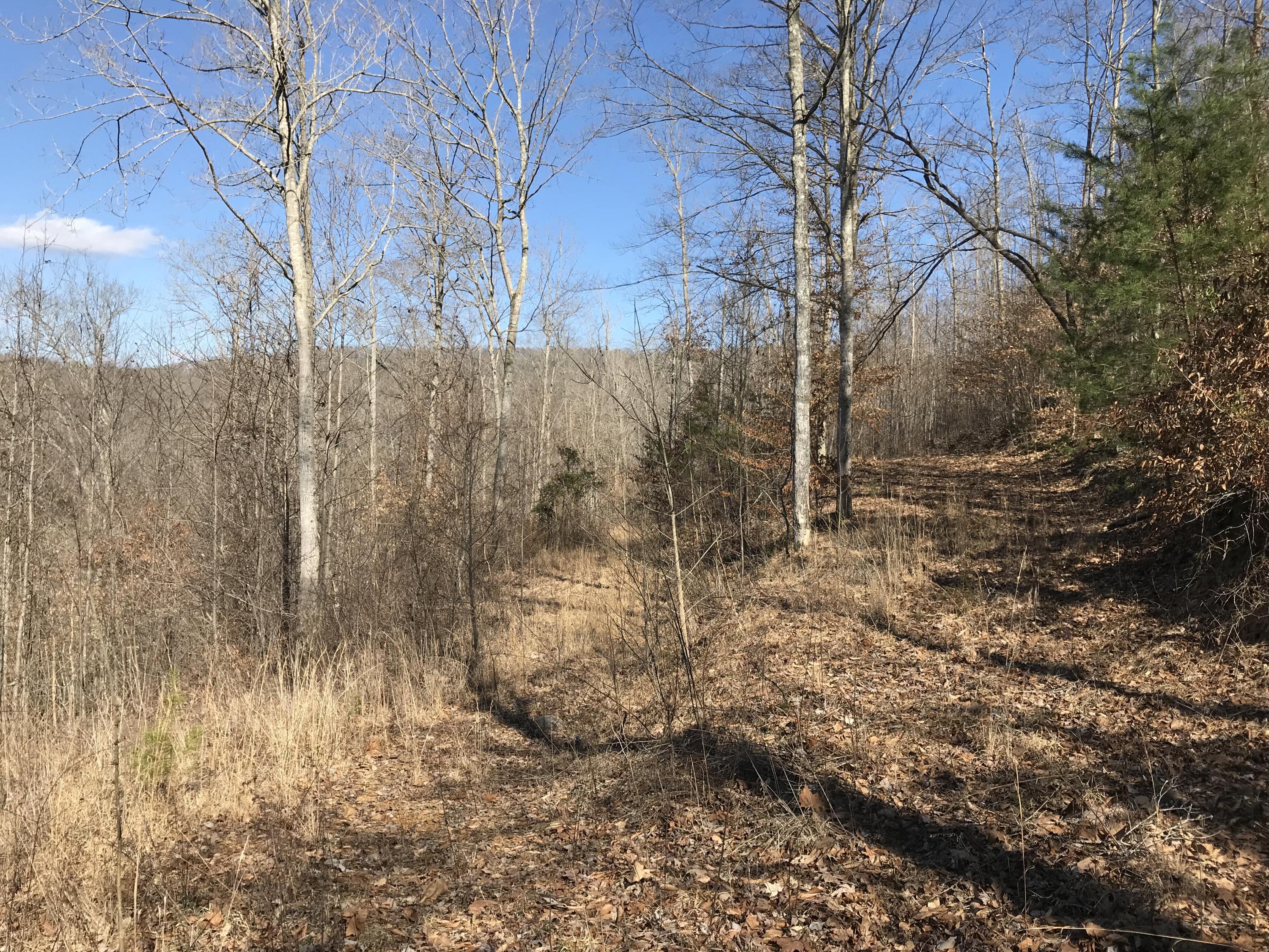 2110 Roberts Bend Road Burnside, KY 42519 - Photo 8 of 10 6AC41E0C-8EFC-4E8A-B630-A0F94A80EFE5<|>P