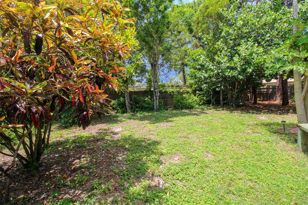 1116 Royal Road Venice, FL 34293 - Photo 3 of 26 a backyard of a house with lots of plants and large tree