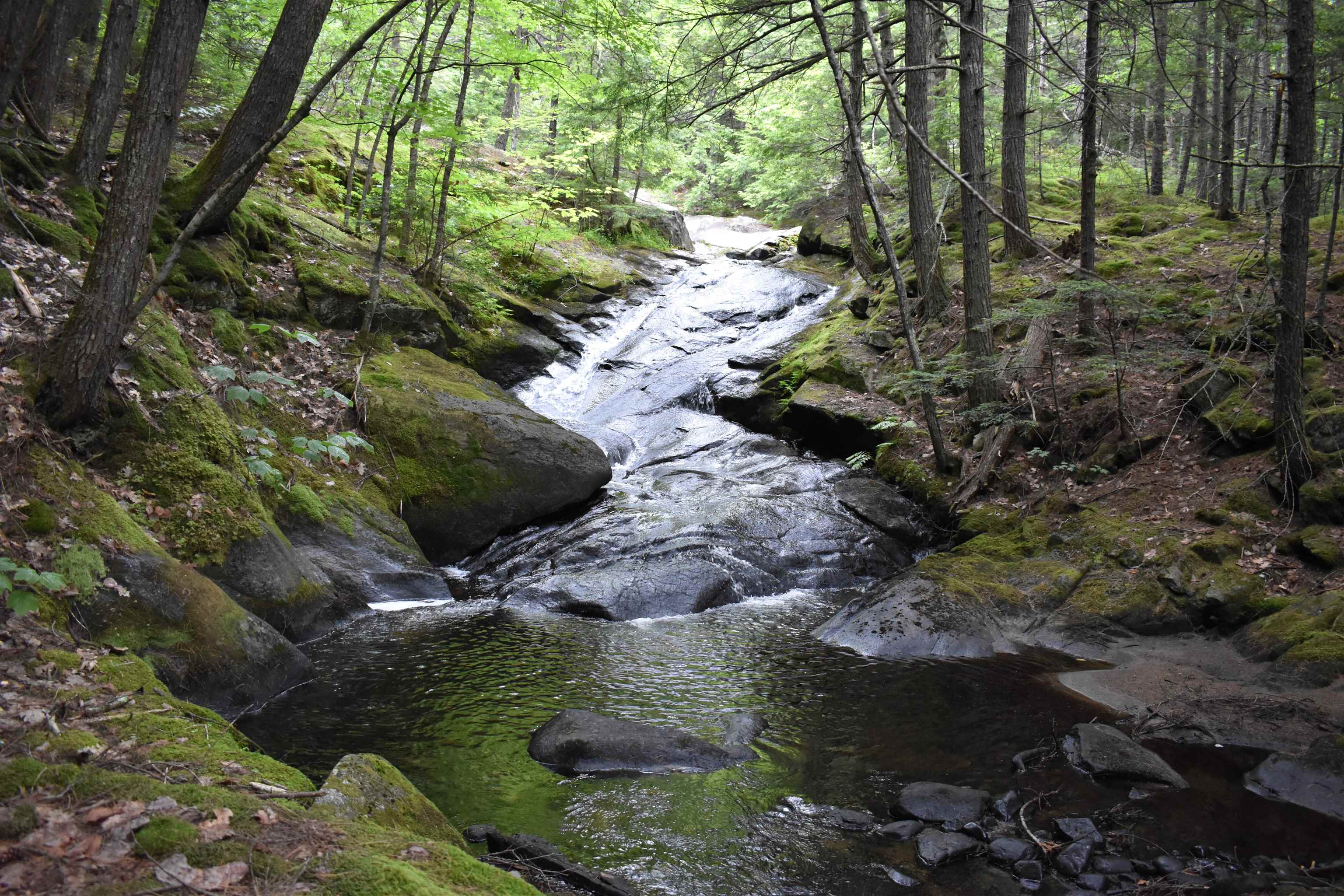 Saunders Hill Road Wentworth, NH 03282 - Photo 11 of 18
