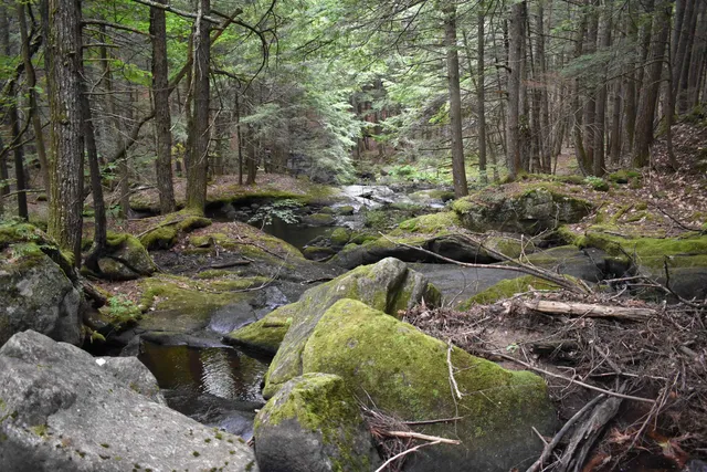 $379,800 | Saunders Hill Road, Wentworth, NH 03282