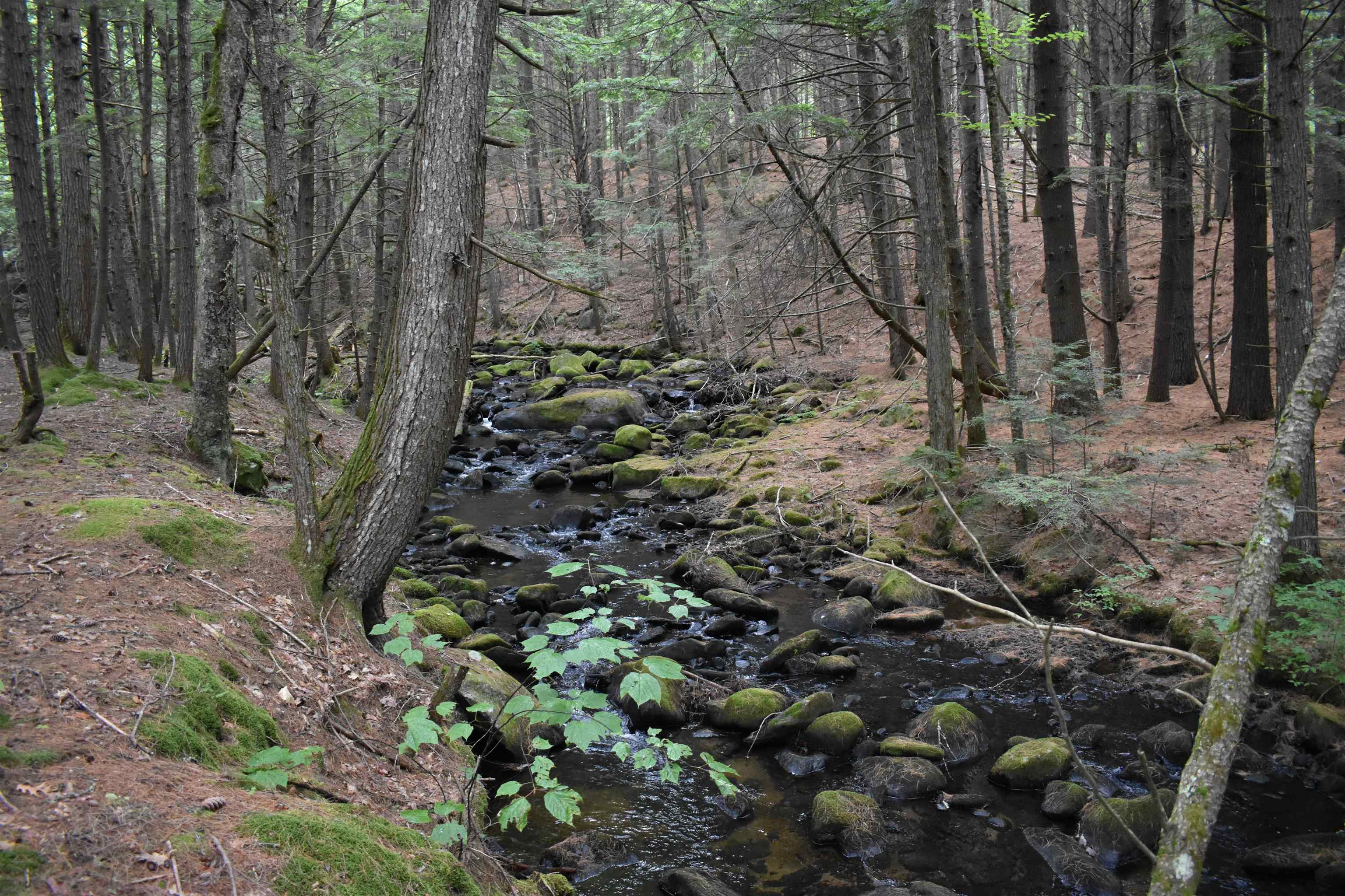 Saunders Hill Road Wentworth, NH 03282 - Photo 13 of 18