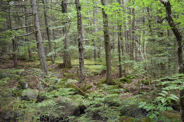 $379,800 | Saunders Hill Road, Wentworth, NH 03282